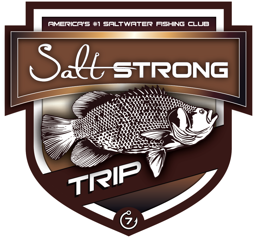 Salt Strong Trip Decal