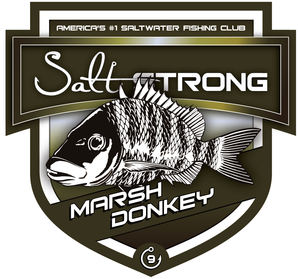 Salt Strong Marsh Donkey Decal