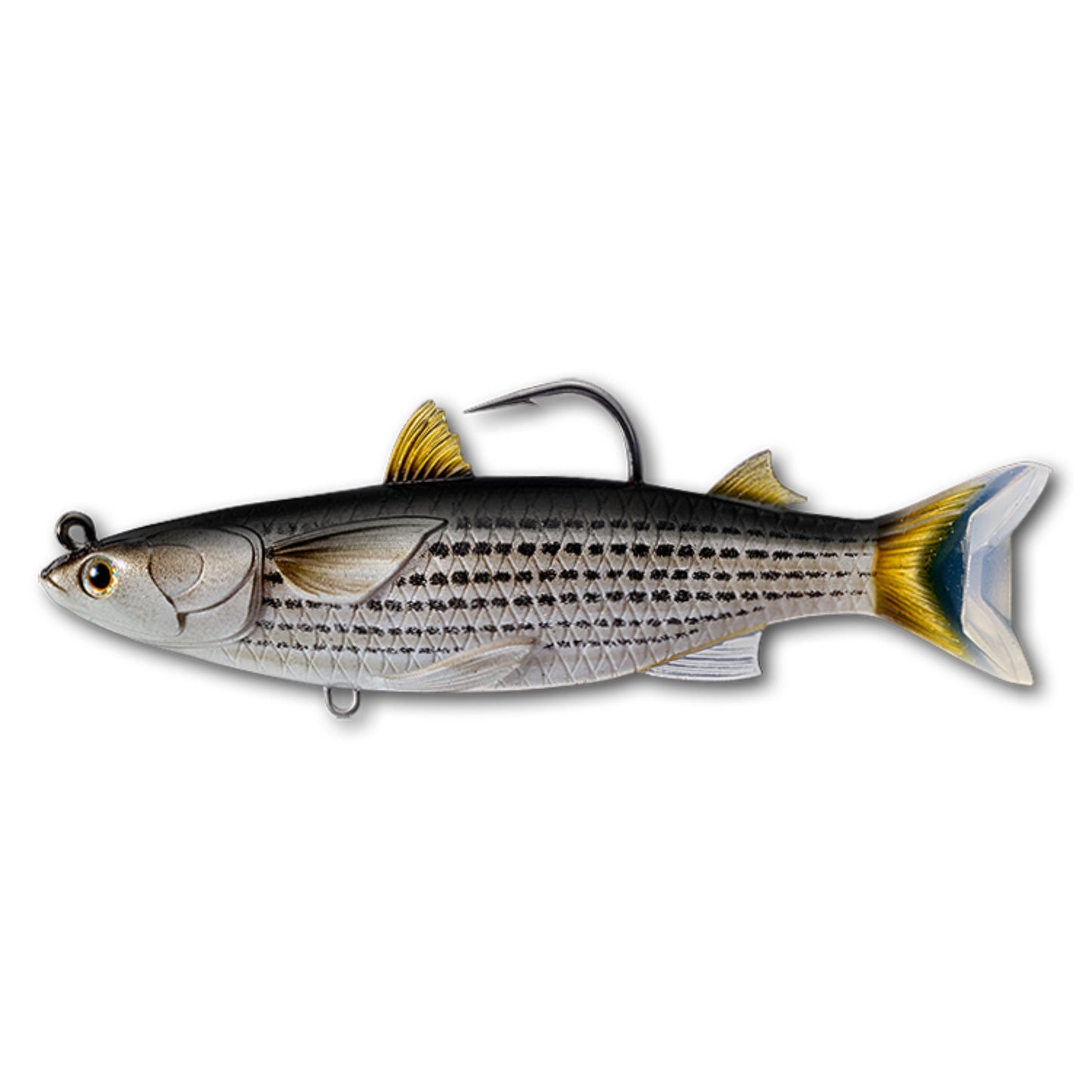 Live Target Mullet Swimbait