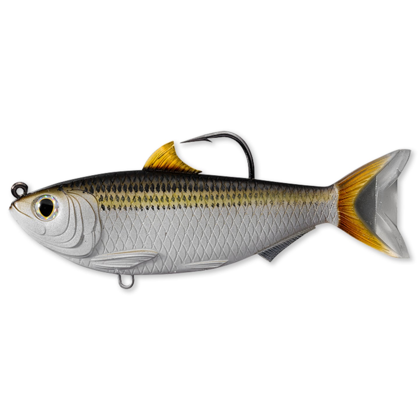 Live Target Scaled Sardine Swimbait